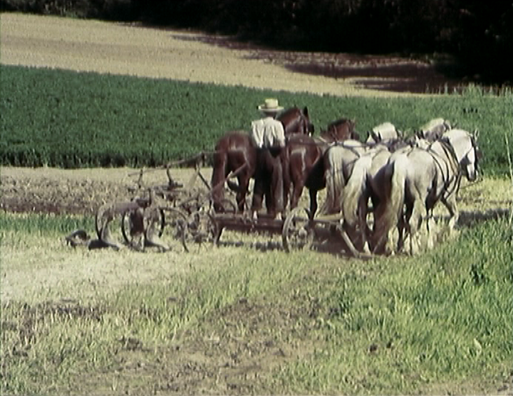 scena dal film THE PENNSYLVANIA DUTCH